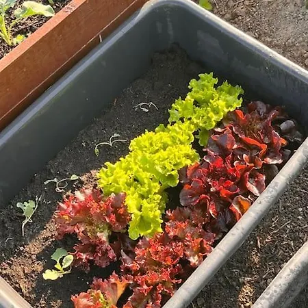 Schlaflodge Wohnwagen In Idyllischer Daire *