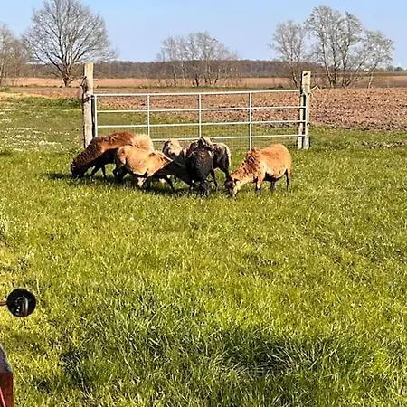 Daire Schlaflodge Wohnwagen In Idyllischer *