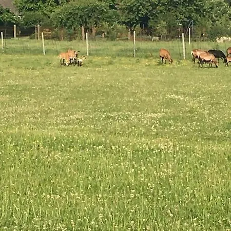 Schlaflodge Wohnwagen In Idyllischer Daire *