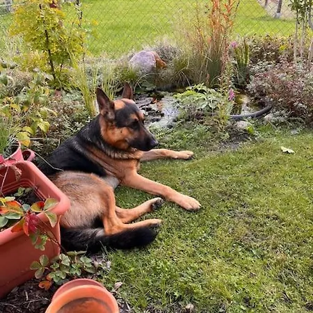 Appartement Schlaflodge Wohnwagen In Idyllischer