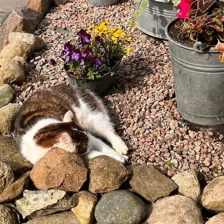 Schlaflodge Wohnwagen In Idyllischer * Ahrenshagen-Daskow