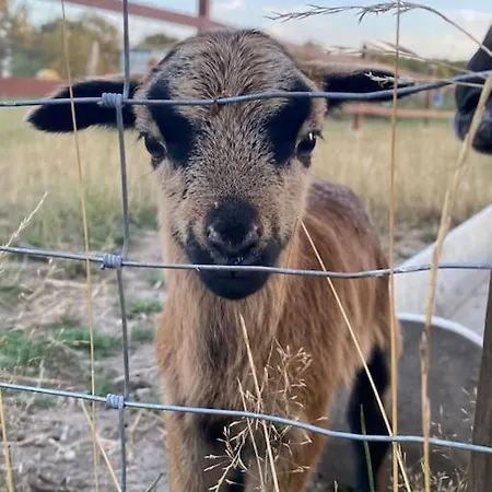 Daire Schlaflodge Wohnwagen In Idyllischer *