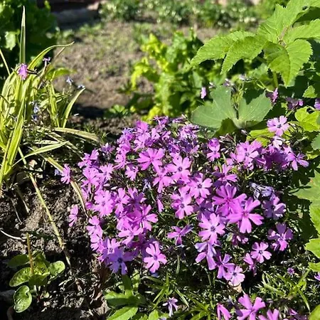Daire Schlaflodge Wohnwagen In Idyllischer Ahrenshagen-Daskow
