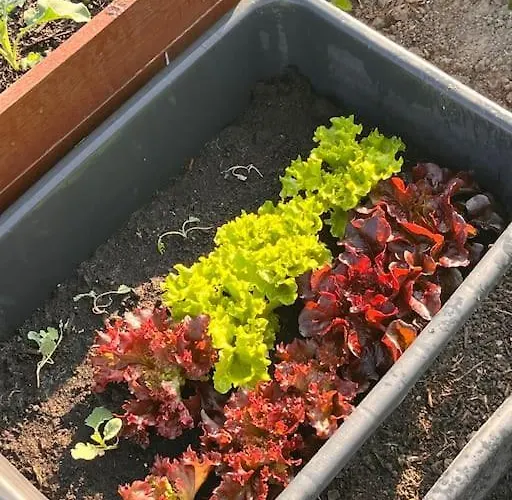 Schlaflodge Wohnwagen In Idyllischer Apartmán *