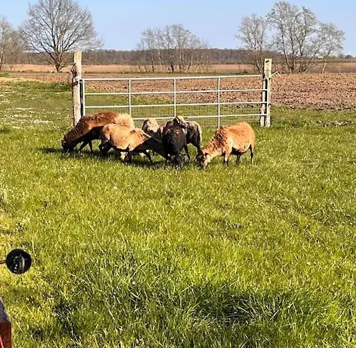 Apartmán Schlaflodge Wohnwagen In Idyllischer *