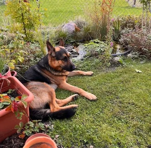 Apartmán Schlaflodge Wohnwagen In Idyllischer