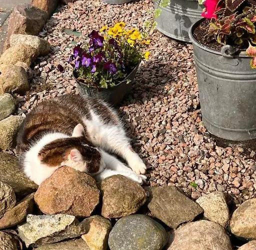 Schlaflodge Wohnwagen In Idyllischer * Ahrenshagen-Daskow