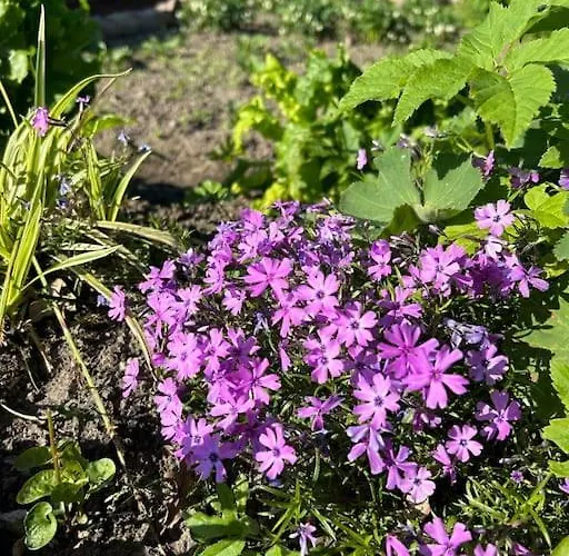 Apartmán Schlaflodge Wohnwagen In Idyllischer Ahrenshagen-Daskow